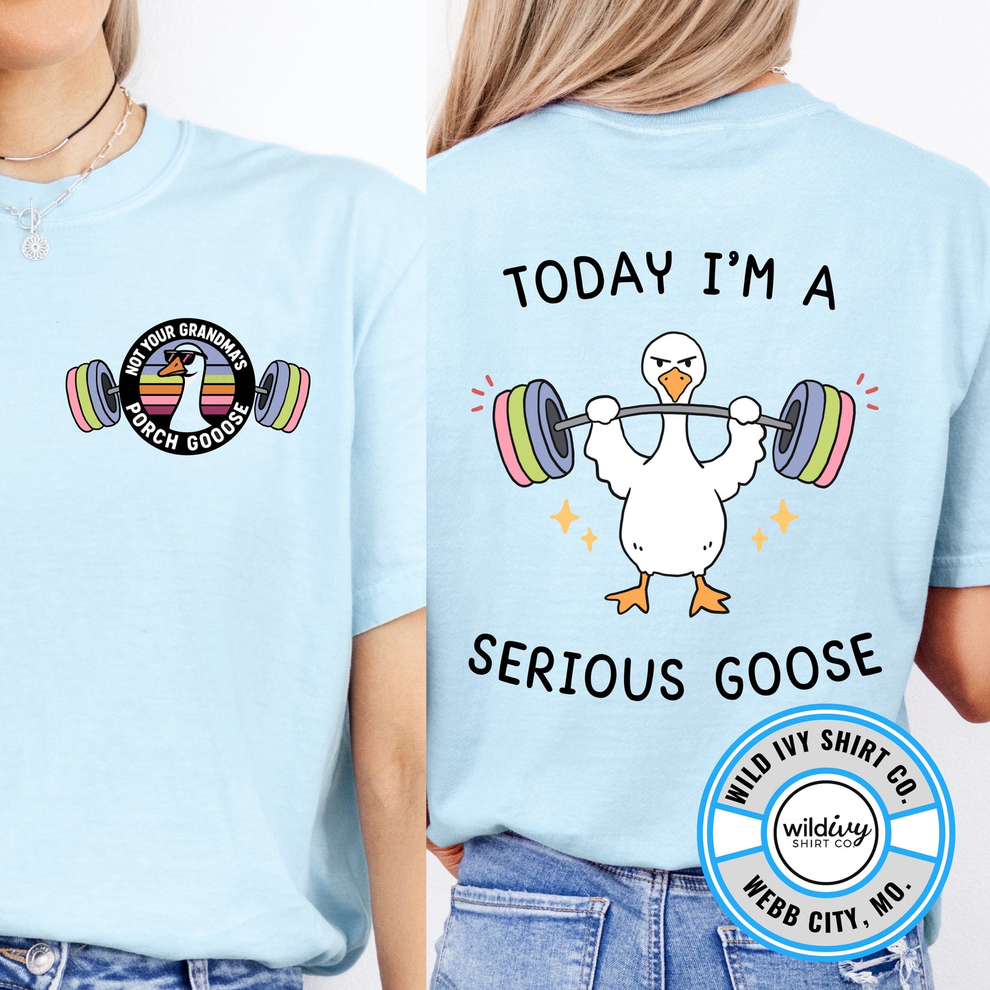 Not Your Grandma's Porch Goose: Today I'm A Serious Goose
