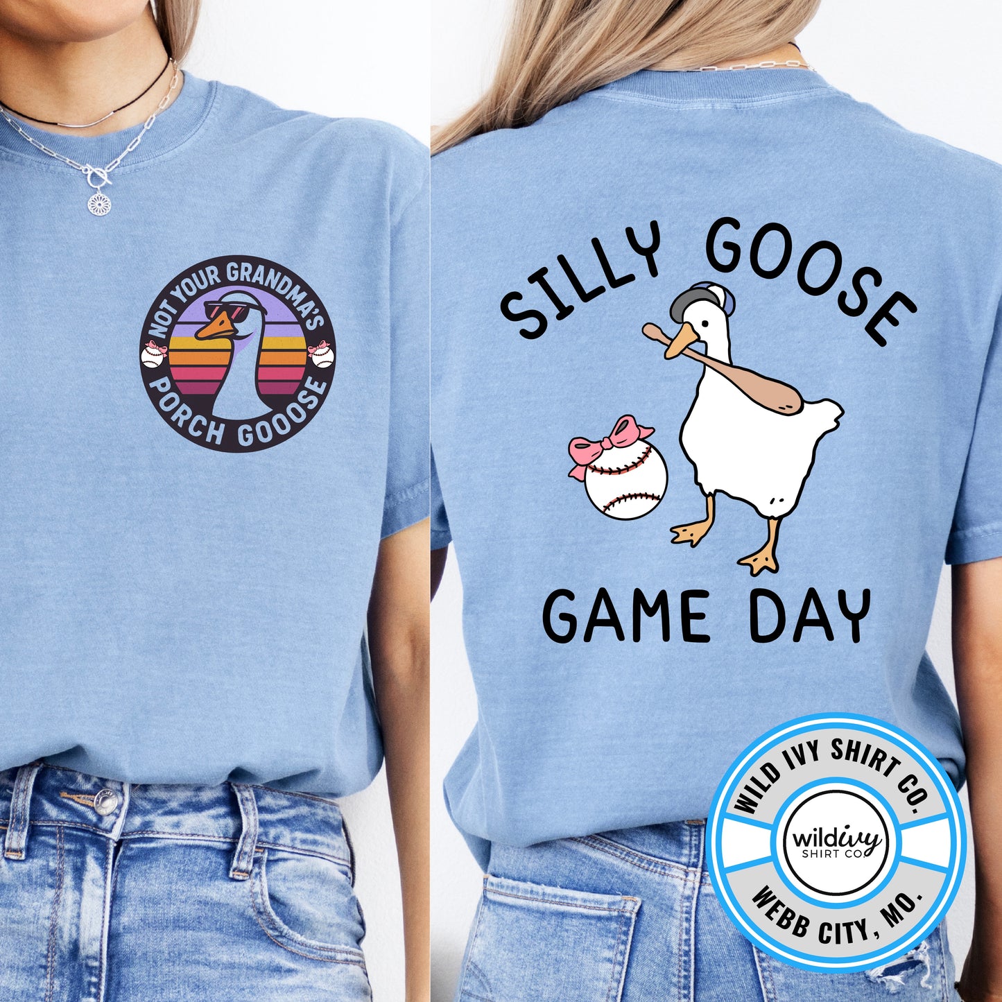 Not Your Grandma's Porch Goose: Silly Goose Game Day