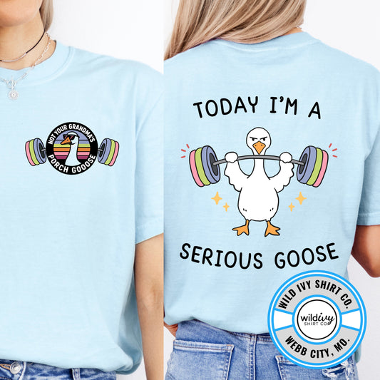 Not Your Grandma's Porch Goose: Today I'm A Serious Goose