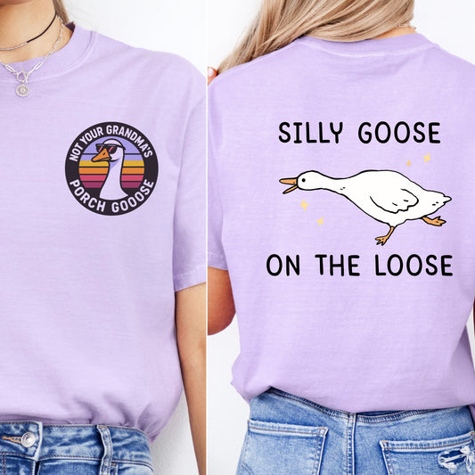 Not Your Grandma's Porch Goose: Silly Goose On The Loose