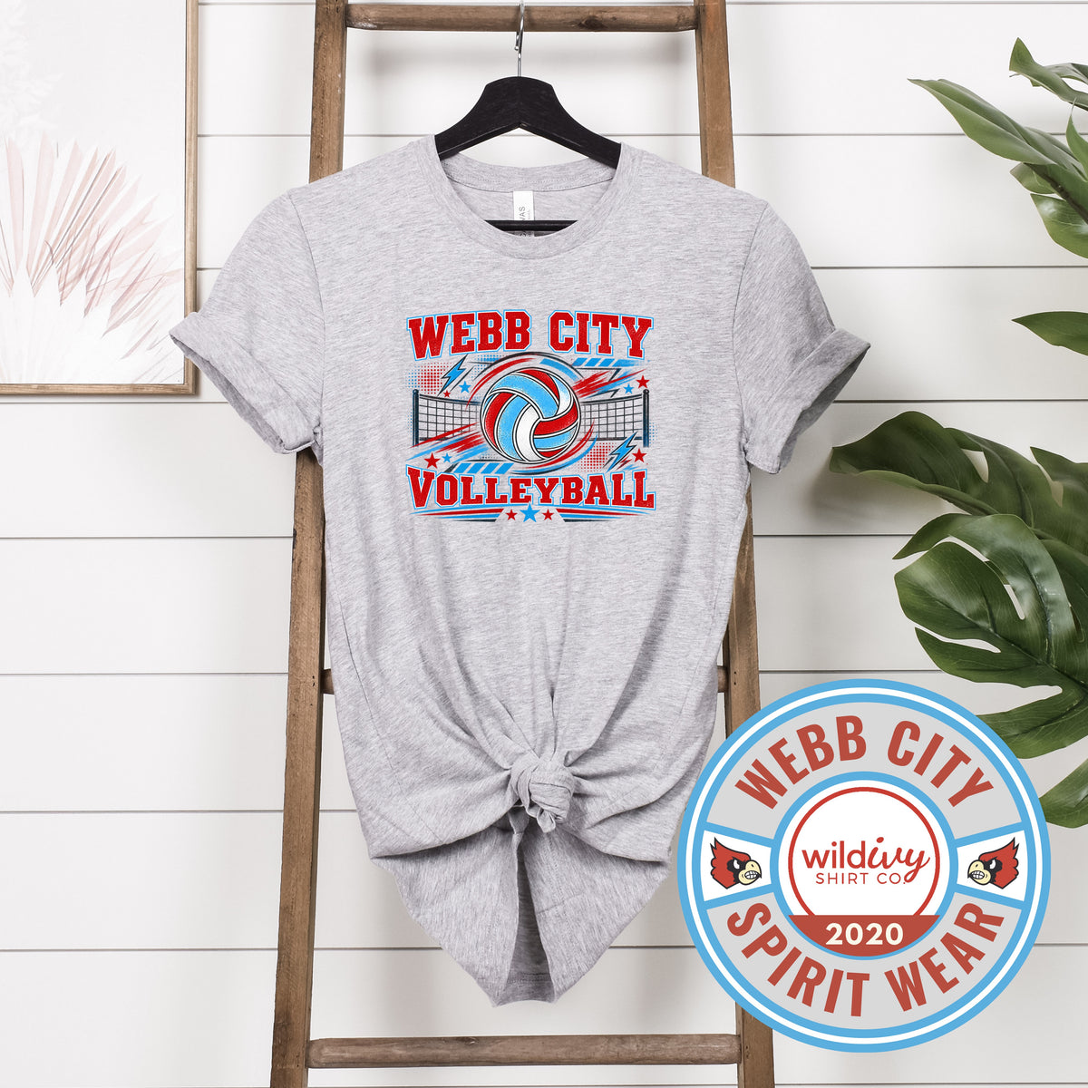 Webb City Volleyball Splash