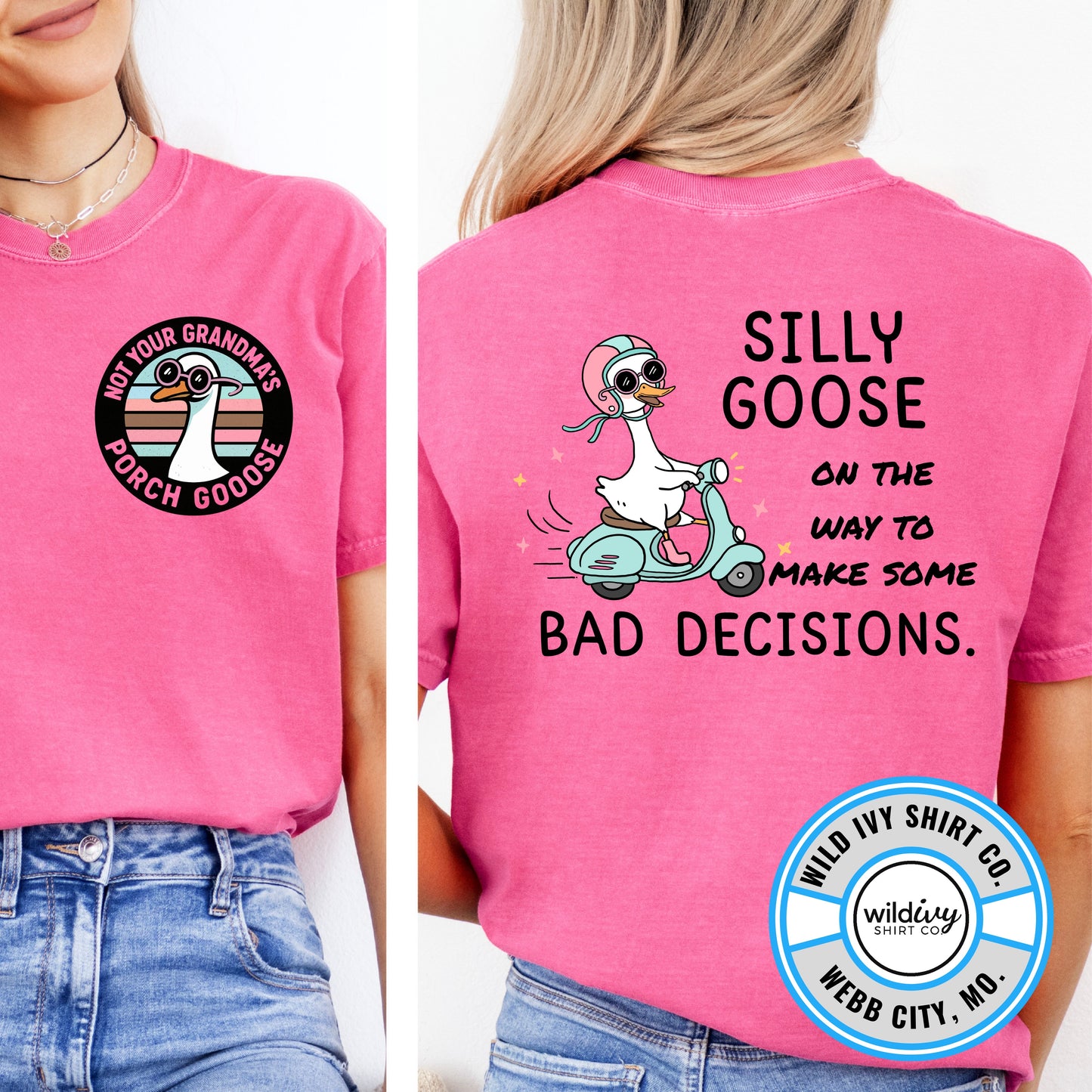 Not Your Grandma's Porch Goose: Silly Goose On The Way To Make Some Bad Decisions