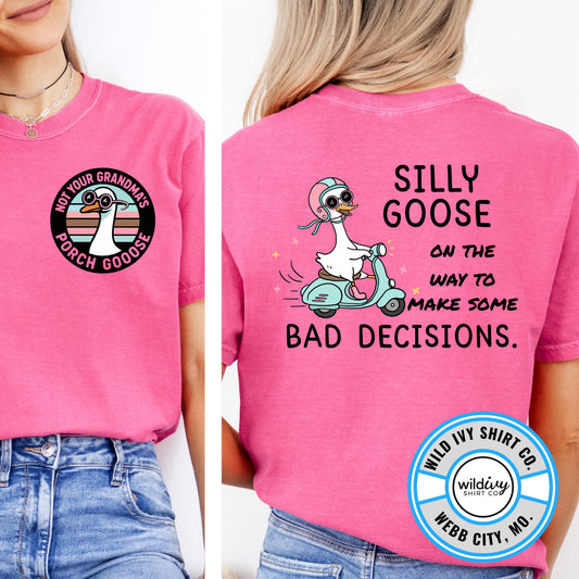 Not Your Grandma's Porch Goose: Silly Goose On The Way To Make Some Bad Decisions